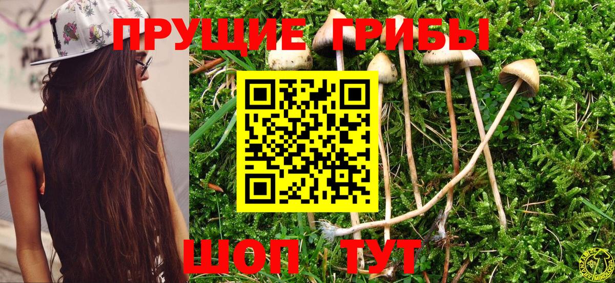 Псилоцибиновые грибы мухоморы  Вход с VPN  Сафоново 
