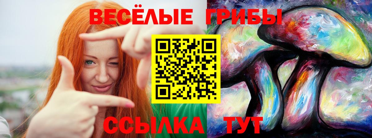 Псилоцибиновые грибы GOLDEN TEACHER Сафоново